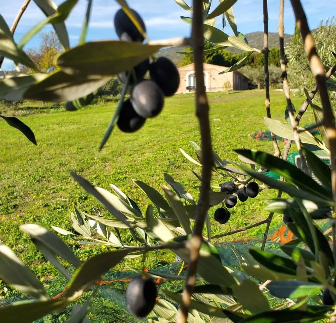 Reve En Luberon Villa Lauris